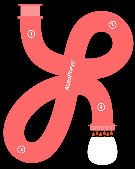 AeroPress drawn as a coral looping tube dripping into a white cup, on black